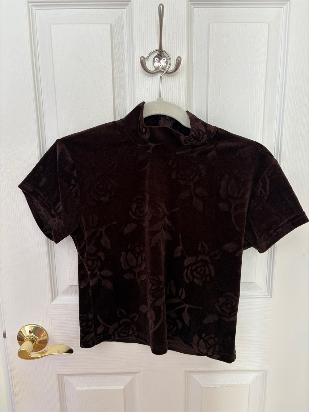 Vintage Brown Velvet Rose-Textured Short Sleeve Top
